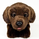 PELUCHE LABRADOR CHOC.25 CM.