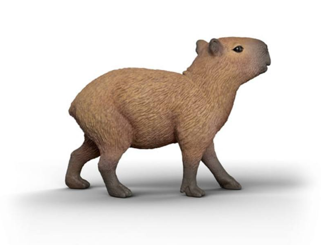 CAPIBARA