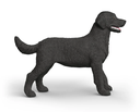 LABRADOR RETRIEVER HEMBRA NEGRA