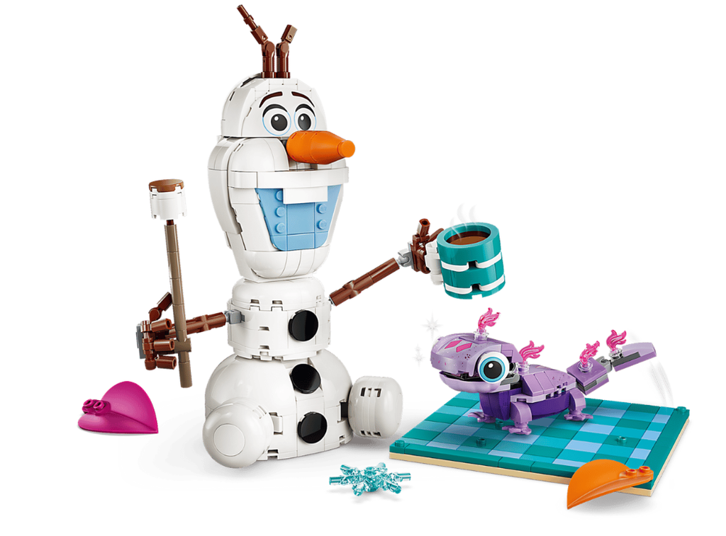 DIVERTIDO PICNIC OLAF Y BRUNI