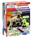 ARQUEOJUGANDO VELOCIRAPTOR FL.