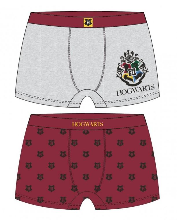 CALZONCILLOS HARRY POTTER T.6