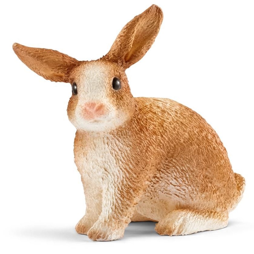 CONEJO