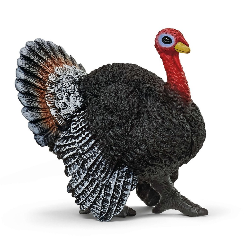 PAVO