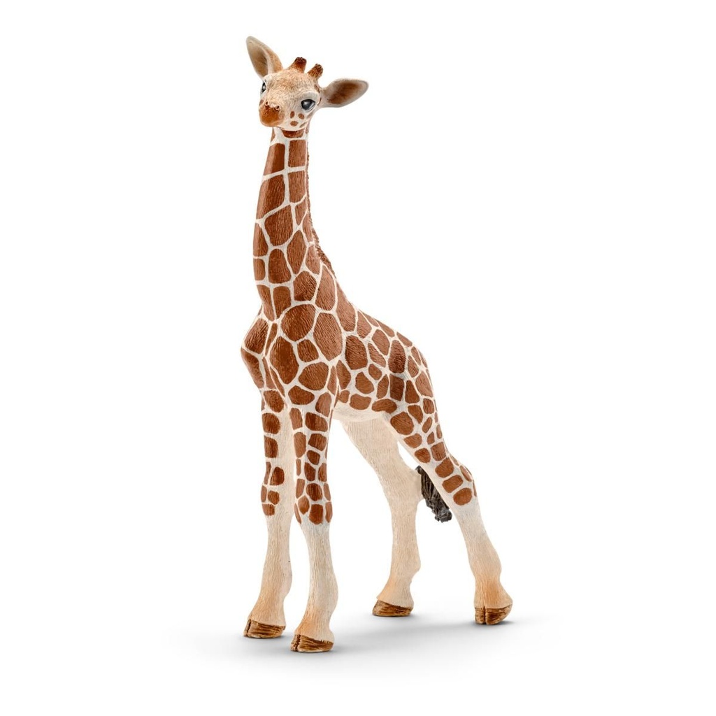 CRIA JIRAFA