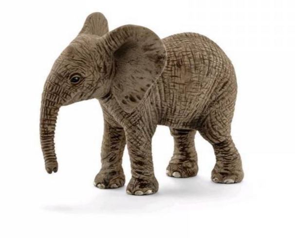 CRIA ELEFANTE AFRICANO