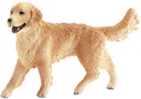 GOLDEN RETRIEVER HEMBRA