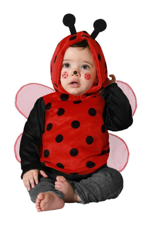 DISFRAZ MARIQUITA 12-24 M.