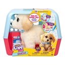 PELUCHE OUCHIES RETRIEVER L.L.P.