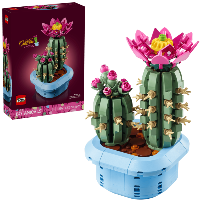 CACTUS EN FLOR