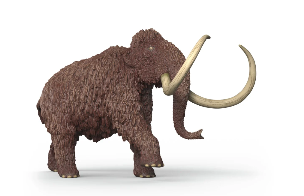MAMUT