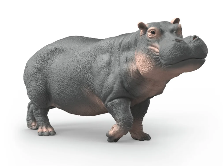 HIPOPOTAMO