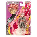 DRAGON BALL EVOVLE ROSÉ GOKU
