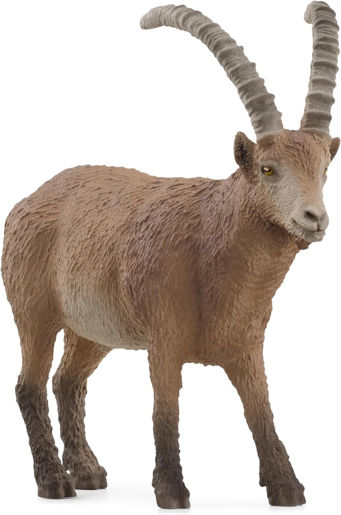 CABRA MONTESA
