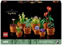 PLANTAS DIMINUTAS