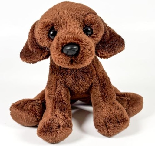 [56733254] PELUCHE LABRADOR CHOCOLATE 12