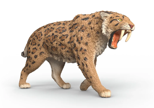 [66915054] TIGRE  DIENTE DE SABLE