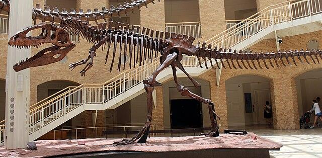 Esqueleto de un giganotosaurio