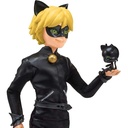 MIRACULOUS HEROEZ CAT NOIR