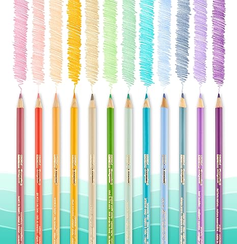 LAPICES COLORES (12)