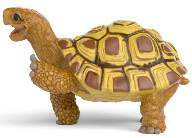 HENRIETTA LA TORTUGA