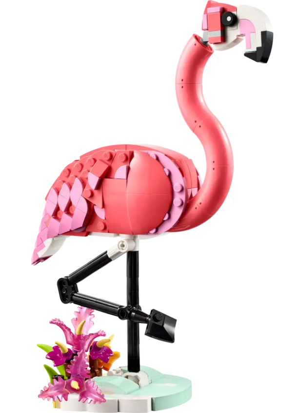 FLAMENCO ROSA