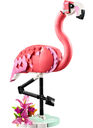 FLAMENCO ROSA