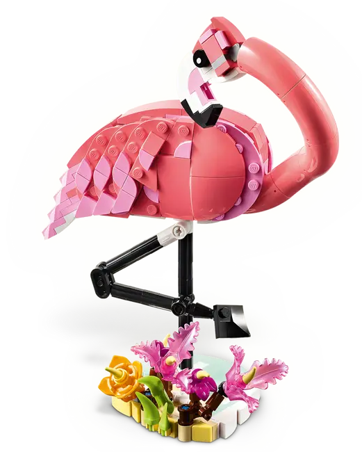 FLAMENCO ROSA