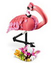 FLAMENCO ROSA