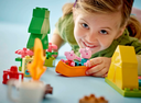 PEPPA PIG EXCURSION CAMP.