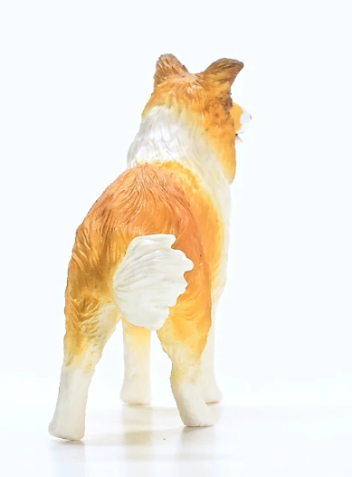 COLLIE
