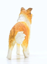 COLLIE