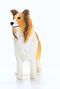COLLIE