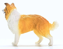 COLLIE