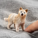 CACHORRO LOBO ARTICO