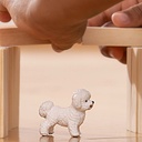 BICHON FRISE