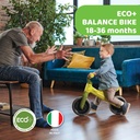 BICI ECO BALANCE VERDE