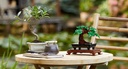BONSAI LEGO CREATOR