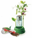 BOTANICA E HIDROCULTURA
