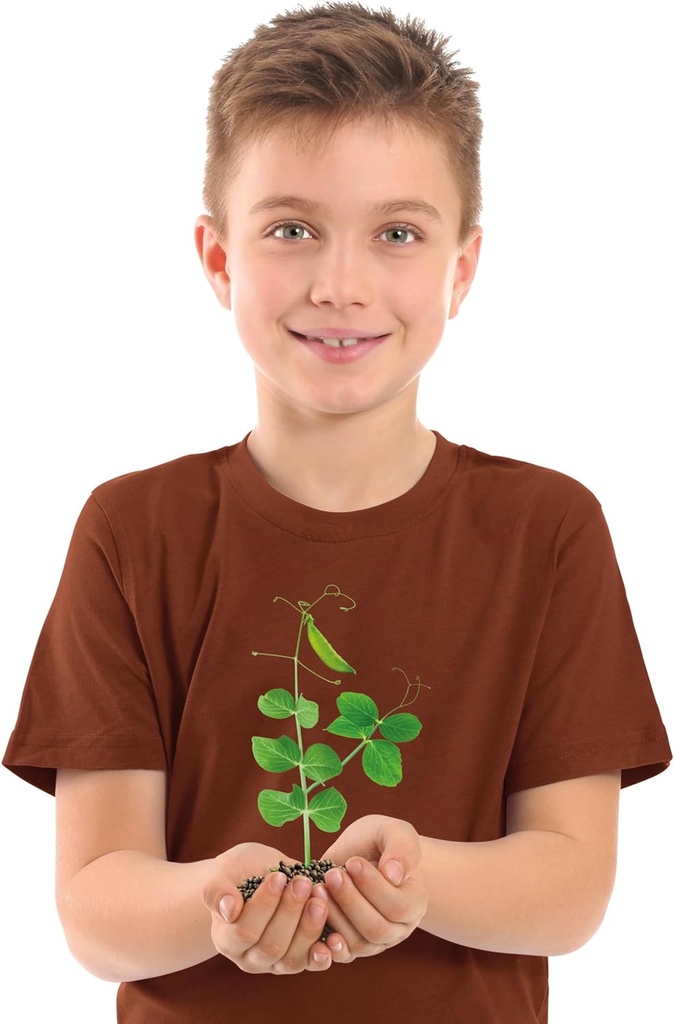 BOTANICA E HIDROCULTURA