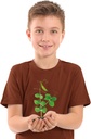 BOTANICA E HIDROCULTURA
