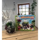 BOTANICEFA PLUS