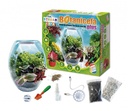 BOTANICEFA PLUS