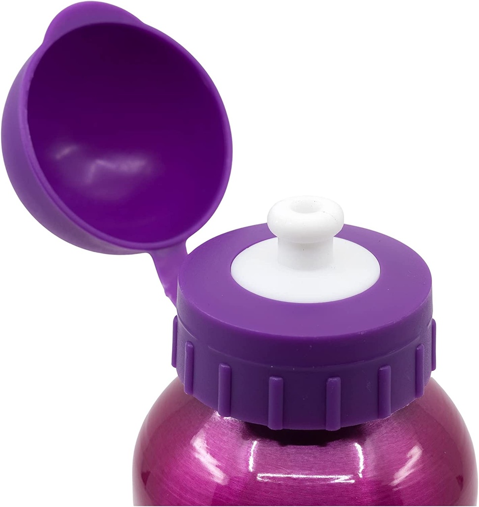 BOTELLA PAW PATROL 400 ML.ALUM