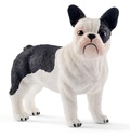 BULLDOG FRANCES