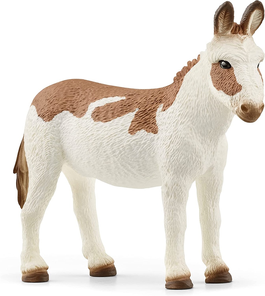 BURRO AMERICANO MOTEADO