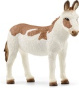 BURRO AMERICANO MOTEADO