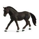 CABALLO DEUTSCHE REITPONY