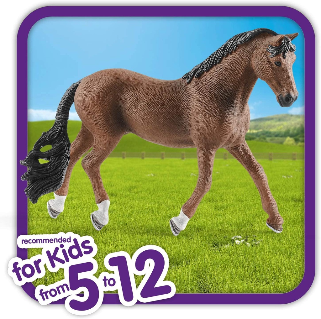 CABALLO TRAKEHNER