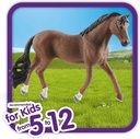 CABALLO TRAKEHNER